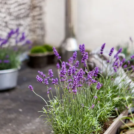 Hotel Malecot By F-hotels